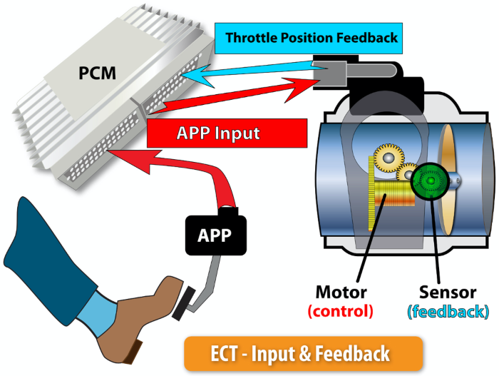 A Closer Look: Electronic Throttle Bodies and Control Systems